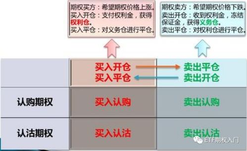 买入期权是什么意思啊？