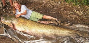 墨西哥钓上怪鱼惊呆众人 盘点被人类活捉的罕见大鱼 