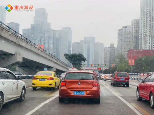 重庆国庆旅游热度散去,高速路口恢复畅通,城区开始拥堵