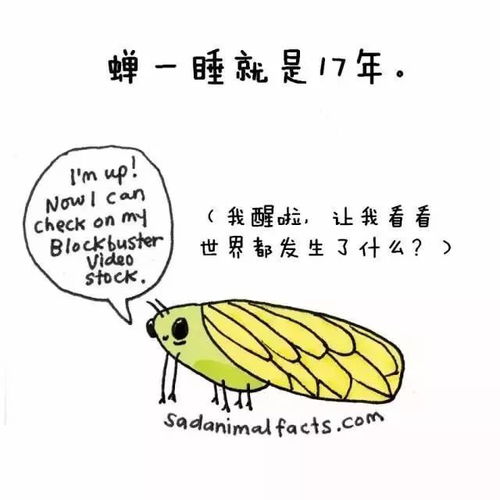 狗眼冷知识大全(狗眼现在用来干嘛)