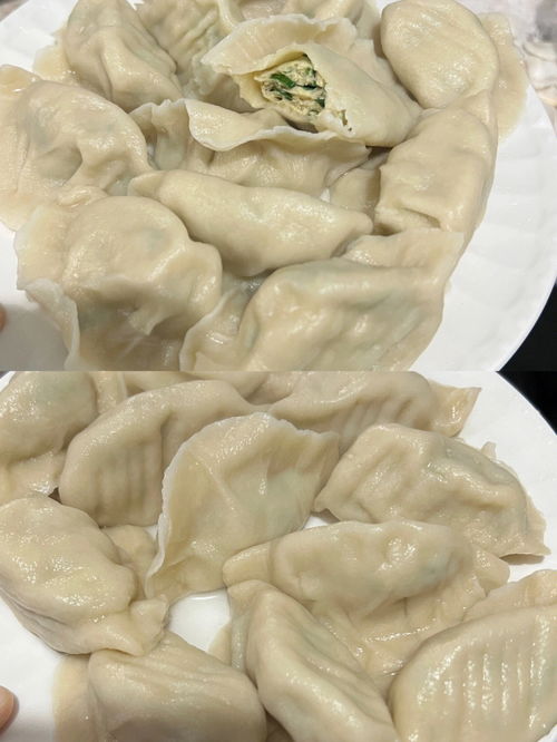 山东美食 鲅鱼水饺怎么做即嫩又没有腥味 