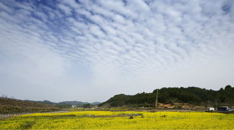 日出江花红似火，春来江水绿如蓝 出自哪一首诗