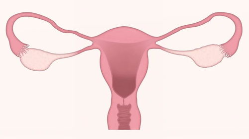 多囊卵巢能怀上孩子吗，多囊卵巢能怀上孩子吗求指点
