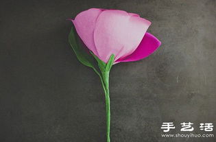 花盆怎么插玫瑰花好看(花盆养玫瑰的注意事项)