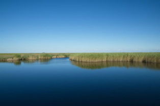 乌裕尔河湿地旅游