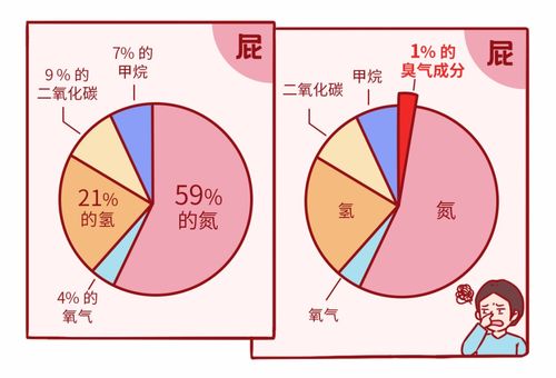 让屁更多 更臭的食物,有一类你绝对想不到