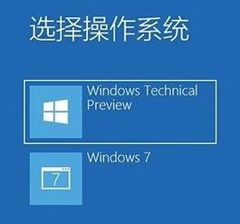 怎么在win10上报名初级