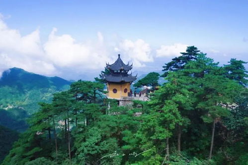 不建寺庙 保护生态,这才是国内佛教圣地里最 佛系 的旅游景区