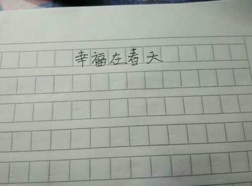 我追赶春天作文400字