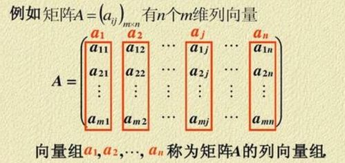 特征向量和基础解系有啥区别 