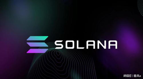 SOL币怎么买—sol币有价值吗