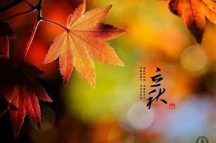 立秋的谚语,描写立秋的诗词推荐 关于立秋的著名诗句 有关立秋的谚语俗语