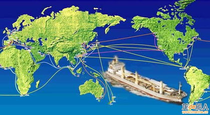 全球海运箱量料增6.6
