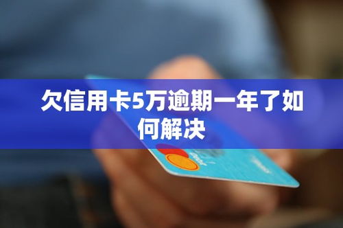 信用卡五万还款计划怎么写,我欠了6万信用卡3年没还了怎么办