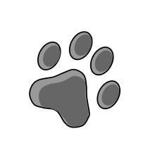 袋鼠 猫 猪分别是什么形状的脚印 