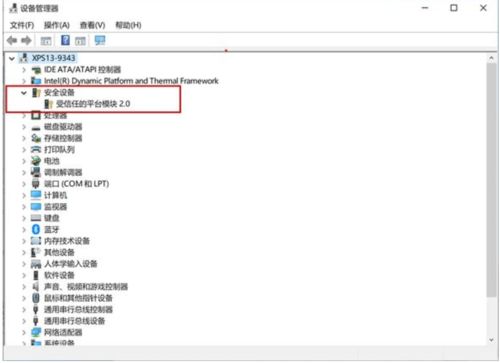 什么电脑可以升级Windows 11系统 手把手教你升级