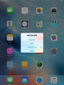 ipad突然边语音了划也划不动,怎么样才能调回来 