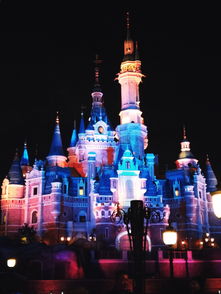 迪士尼夜晚的城堡图片