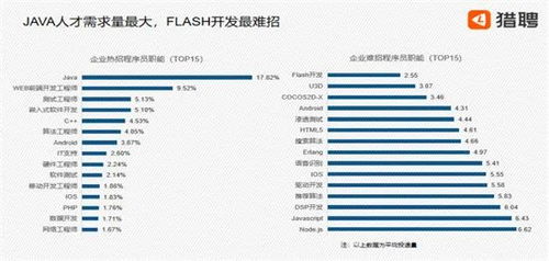 大数据的人才简历