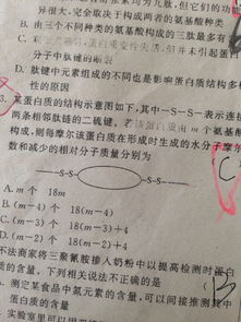 高一生物 二硫键为什么要+4 详说