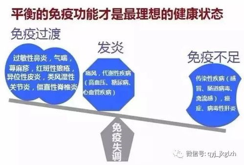 糙米蛋白 全面补充素食蛋白