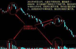 股票套牢清仓一半,亏损在那显示