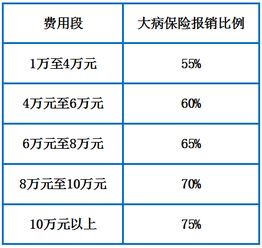 城乡居民医疗保险段内自付医保自负段是什么意思