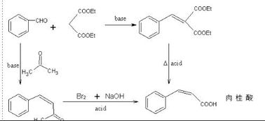 苯甲醛分别同丙二酸二乙酯，过量丙酮相互作用应得到什么产物？从这些产物如何进一步制备肉桂酸