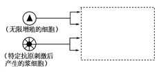 单克隆抗体中两次筛选分别是什么方法