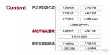 视频策略方案模板(视频策略方案模板下载)