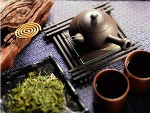 乱世茶情(乱世佳人 茶花)