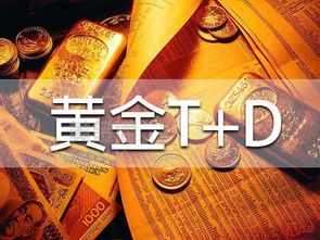 国金证券能买黄金T十D吗