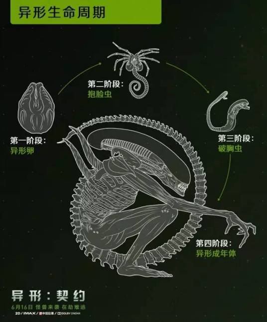 罕见 国外网友抓获一神秘透明生物,异形上演 对人类威胁有多大