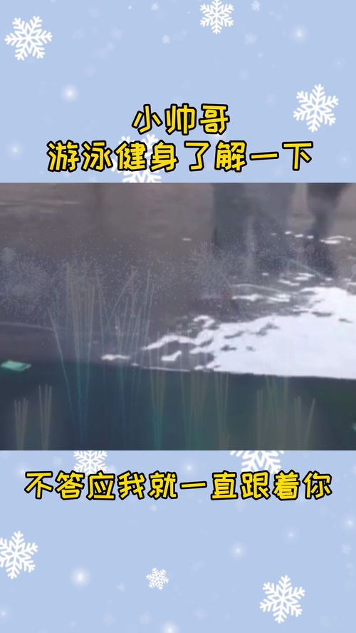 水族馆看到的一幕,难道是前世的缘分 