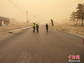 内蒙古科左后旗遭遇大风袭击 交警风沙中清理路面 