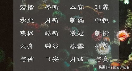 给公子如玉的男孩,从诗词中取一个祖舜宗尧的名字