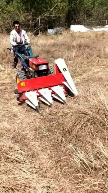 专门用来割草的小型机械,这还是第一次见,很适合小规模除草工作 