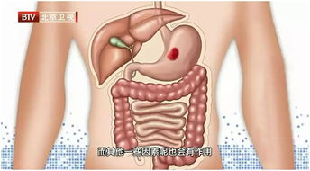 千滚水致癌 少吃多餐养胃 这些你知道的 养生常识 都是错的 别再盲目相信了