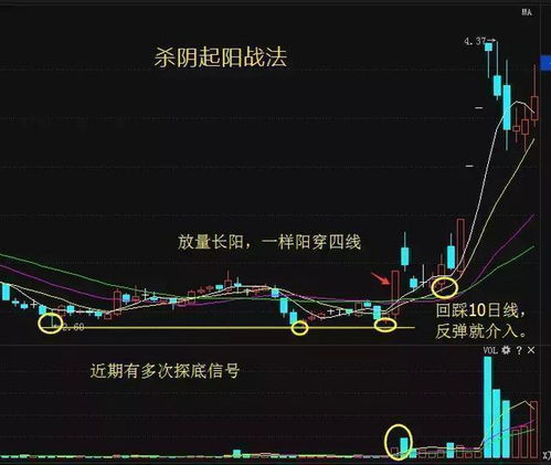 如何在沪深股市中挑选中一支赚钱的股票?