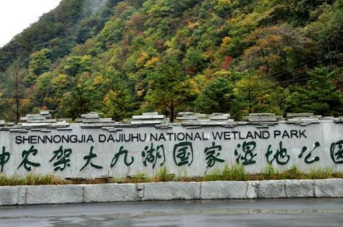 湖北神农架木鱼景区