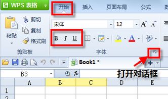 wps加粗字体怎么打印(wps加粗字体怎么打印不出来)