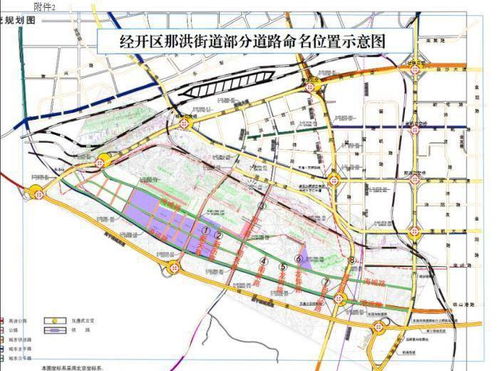 南宁29条路新命名覆盖两个城区 看看是否在你家附近