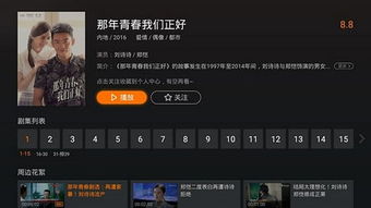 newtv极光(云视听极光)破解版