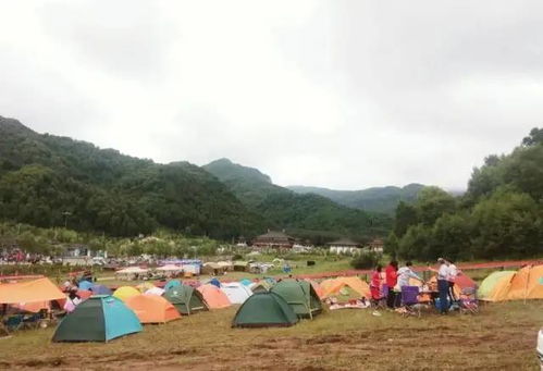 今年中高考考生凭准考证可免费游天水麦积山景区