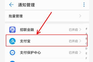 支付宝收钱码语音提示慢,甚至不播报(收款码语音提示提醒不及时)