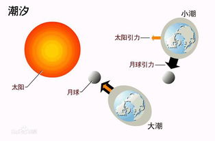 产生海水潮汐的主要原因是？下载