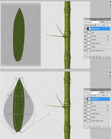 教你如何在photoshop画竹子