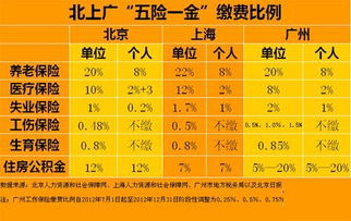 养老保险交了几年怎么查询(养老保险怎么查看交多少年)