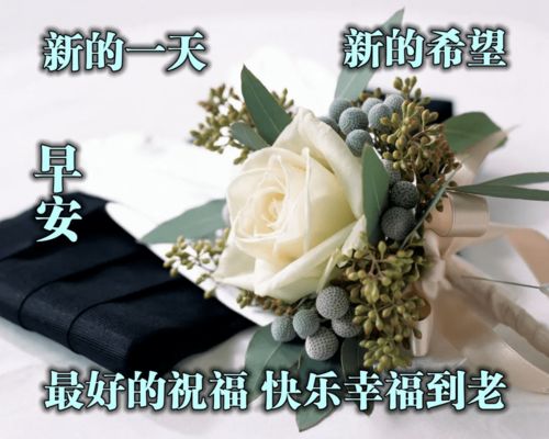 早晨发给朋友的微信浪漫问候语简短 早上好唯美祝福语图片合集