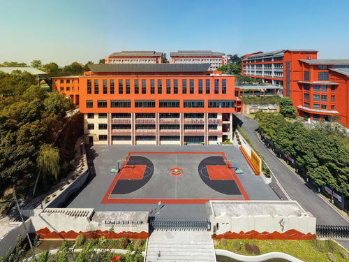 重庆市特殊教育中心官方网站